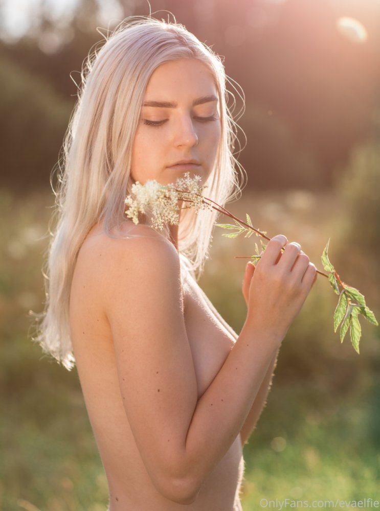 Preview image for evaelfie fap4lm.com