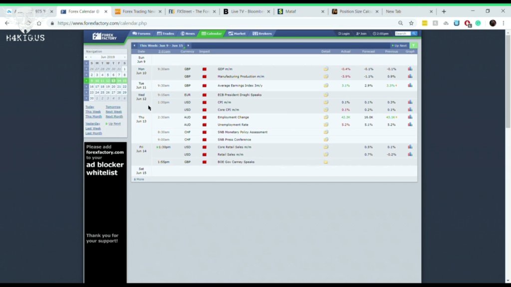 Preview image for youngtraderwealth - forex pro trader program.2025 [tomyku]