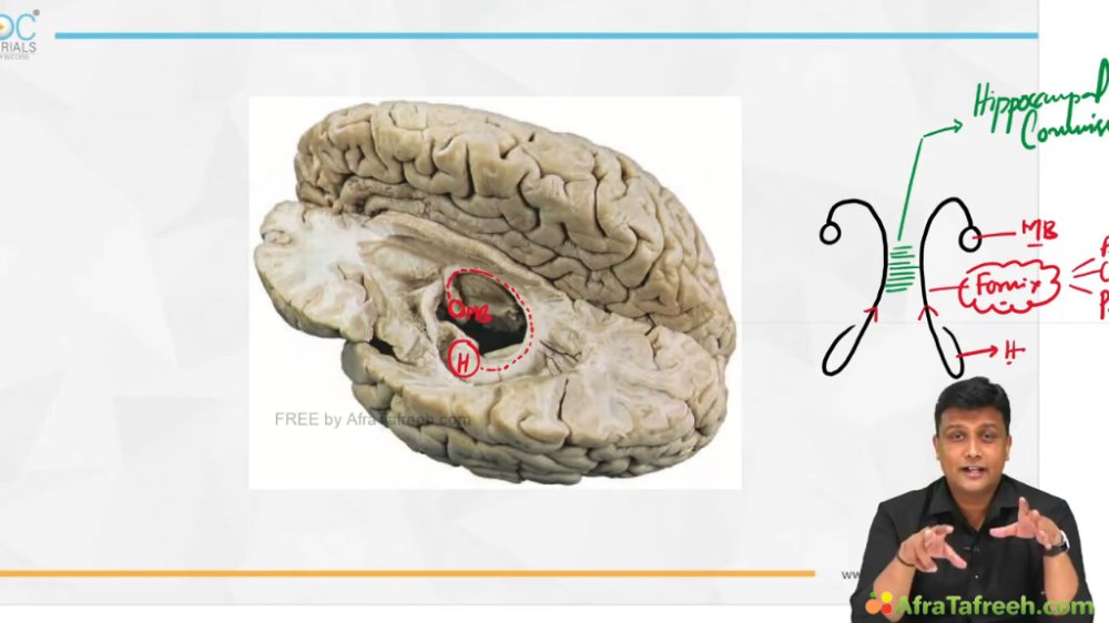 Preview image for dr azam lectures (catch-up)